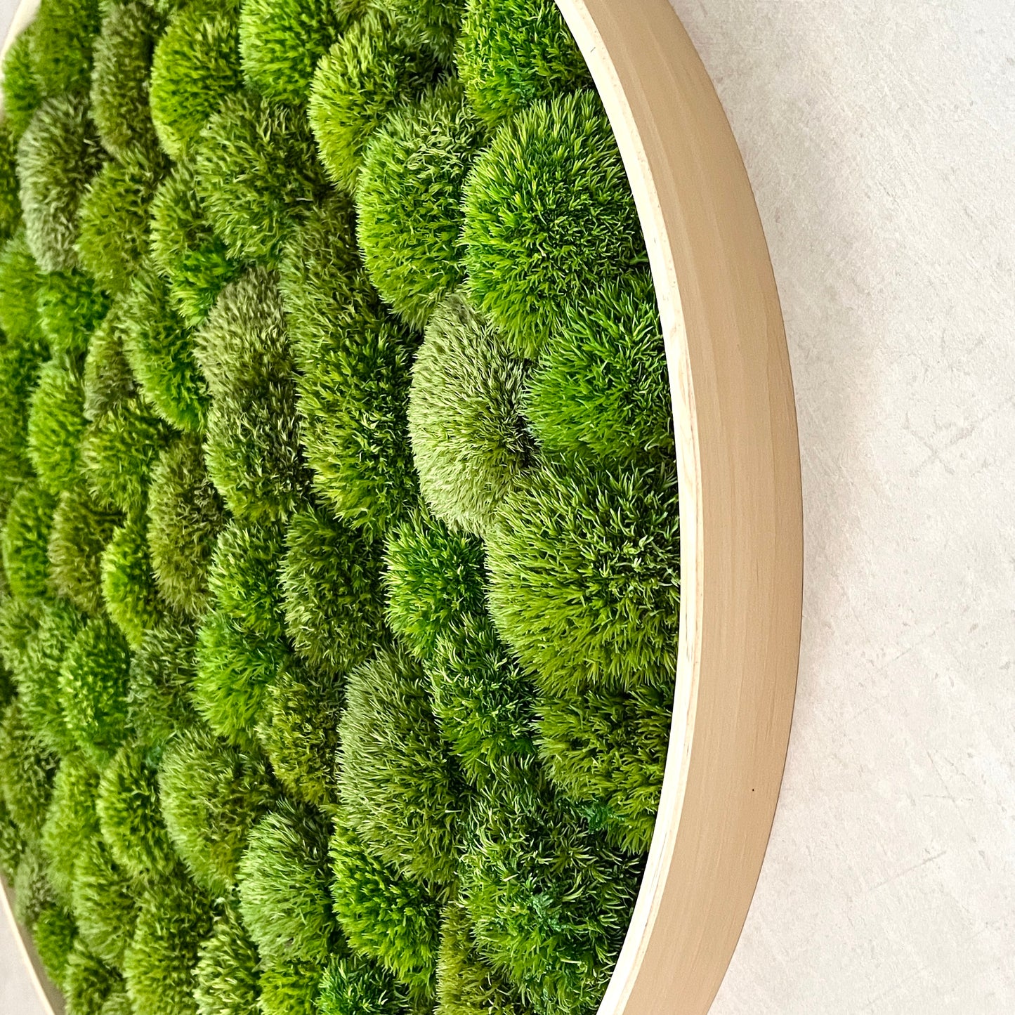 Custom Round Preserved Moss Wall Art