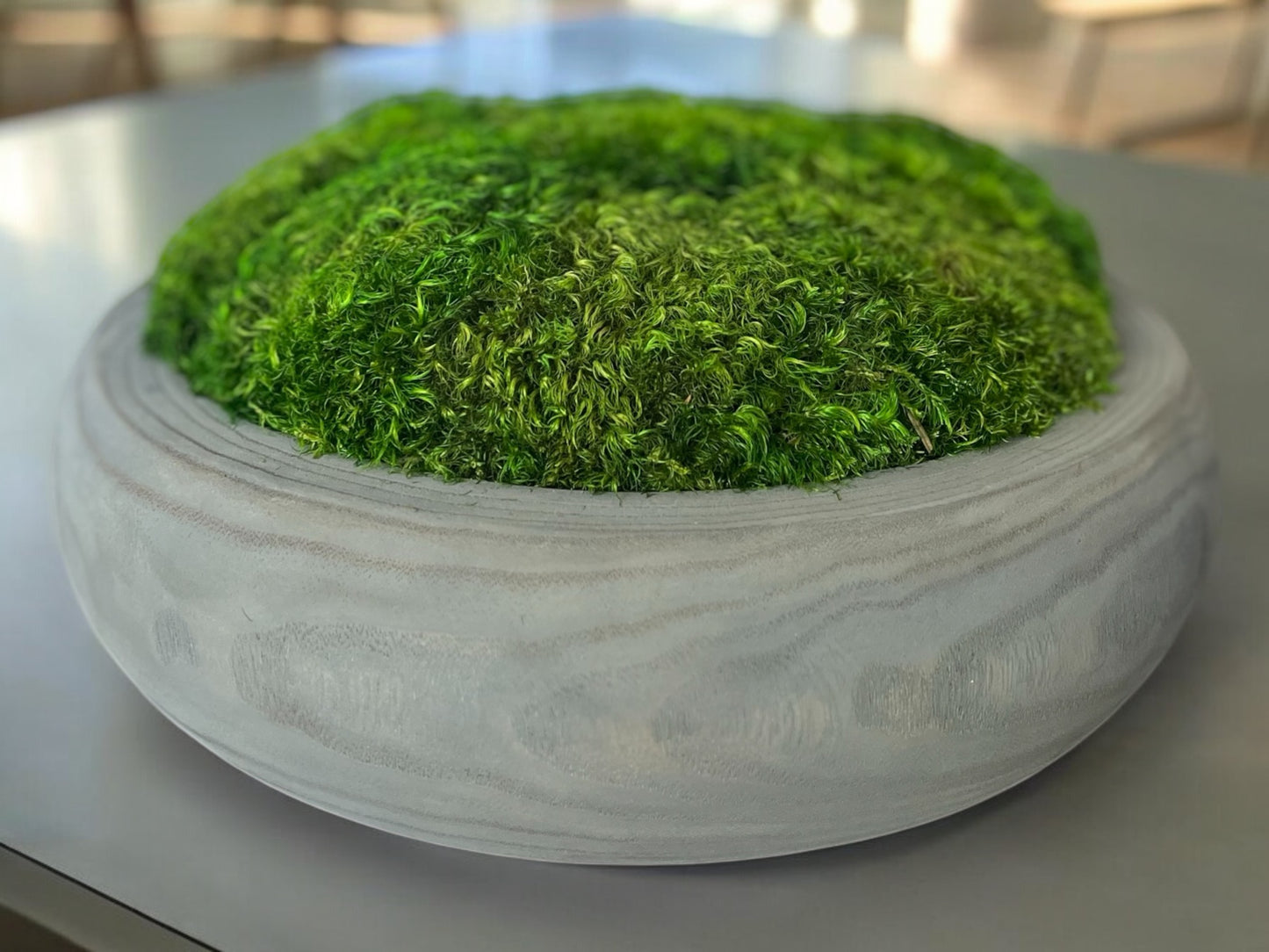 12” Round Rustic Moss Bowl