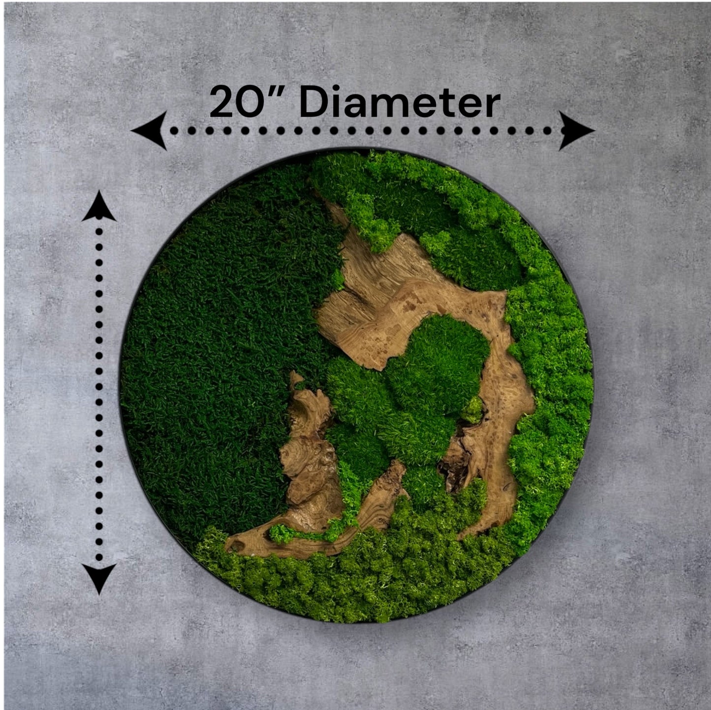 Preserved Moss Wall Art Round 12” or 20”