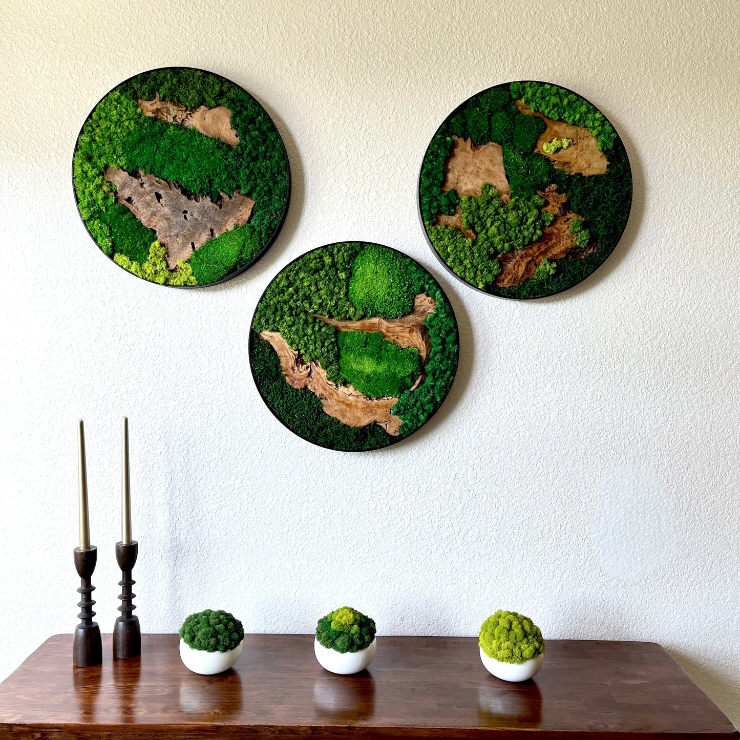 Preserved Moss Wall Art Round 12” or 20”