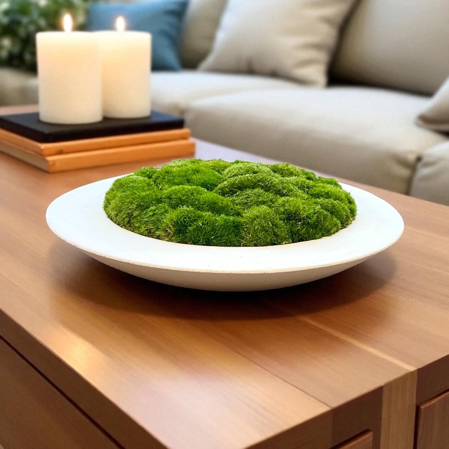 Handmade 15” Round Concrete bowl filled with preserved moss - In store pickup only