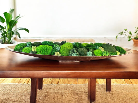 25" Metal Boat Bowl w/ Variated Preserved Moss