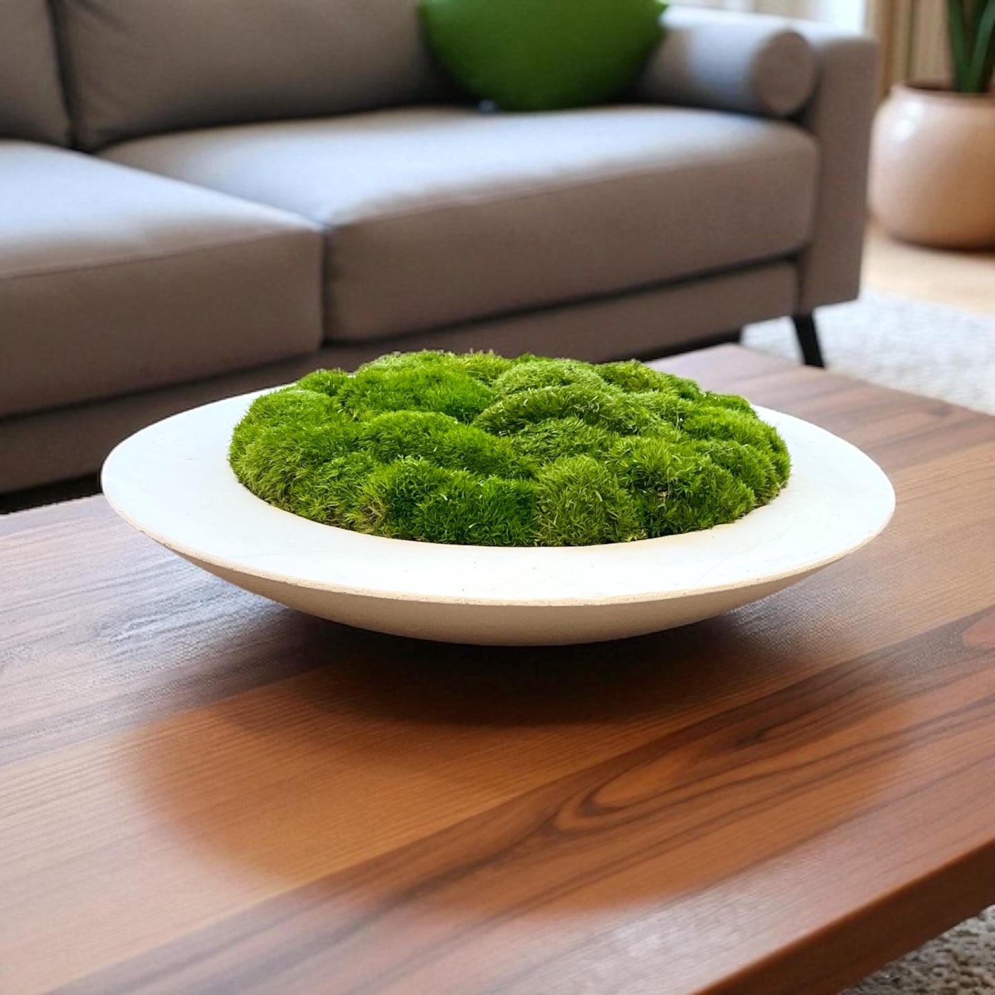 Handmade 15” Round Concrete bowl filled with preserved moss - In store pickup only