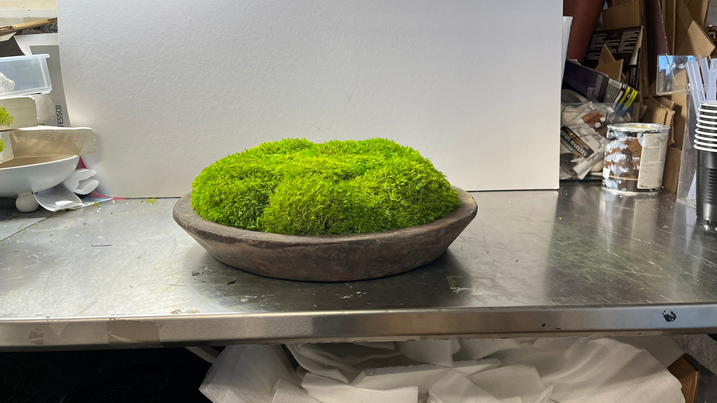 12" oder 16" runde rustikale Holzmoosschale