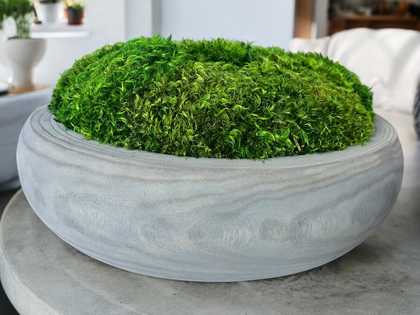 12” Round Rustic Moss Bowl