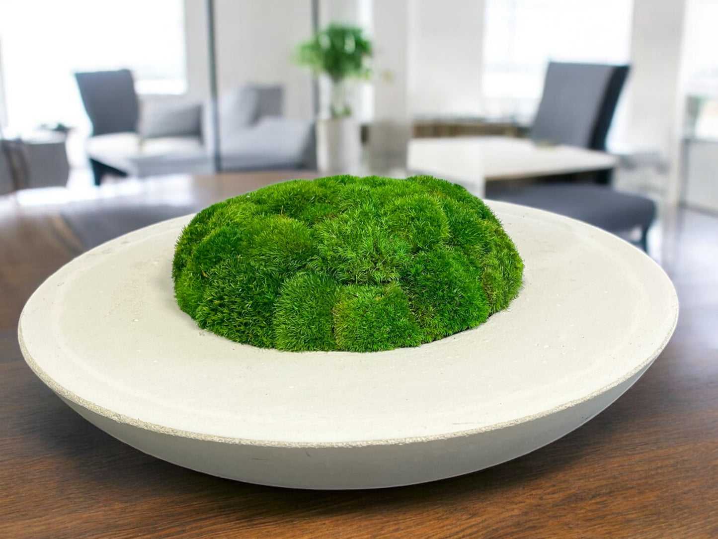 Handmade 20” Round Concrete bowl filled with preserved moss - In store pickup only