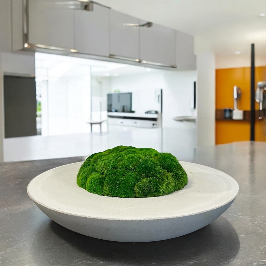 Handmade 20” Round Concrete bowl filled with preserved moss - In store pickup only