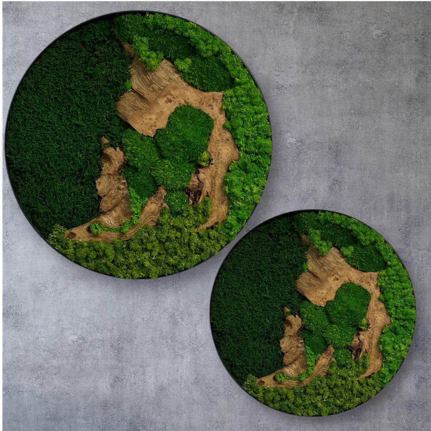 Preserved Moss Wall Art Round 12” or 20”