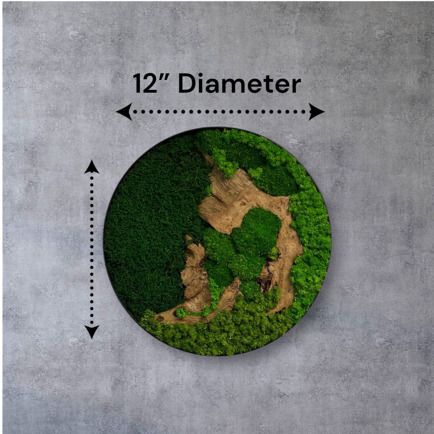 Preserved Moss Wall Art Round 12” or 20”