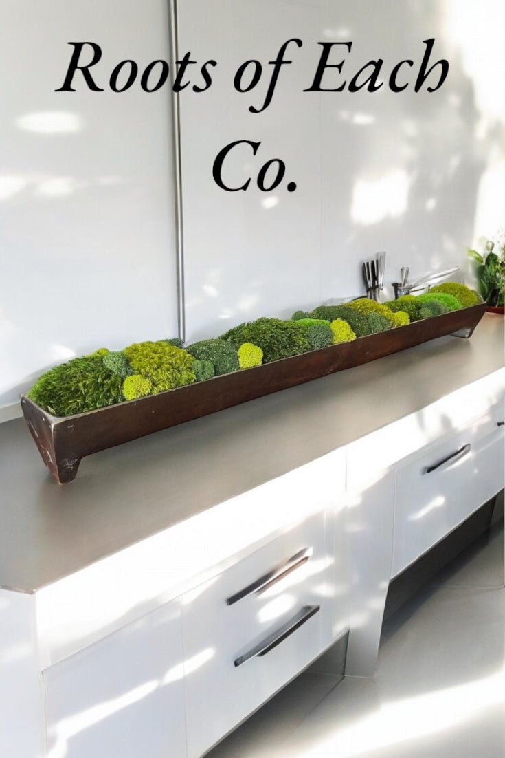 Bronzener Aluminium-Metall-Patina-Trog mit Moos