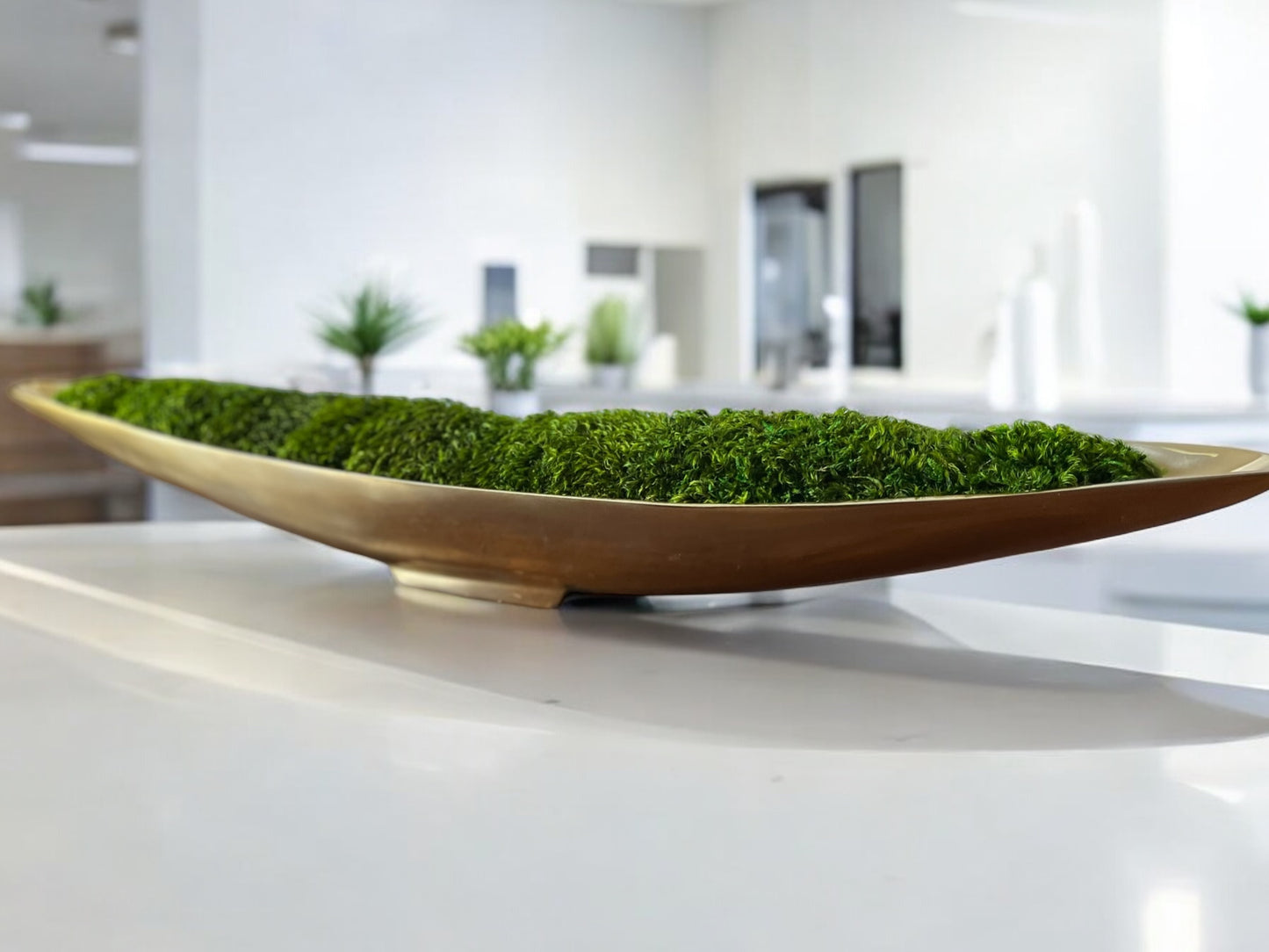 25" Preserved Moss Metal Boat Bowl