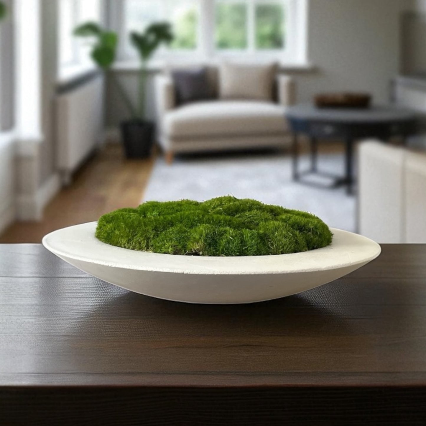 Handmade 15” Round Concrete bowl filled with preserved moss - In store pickup only
