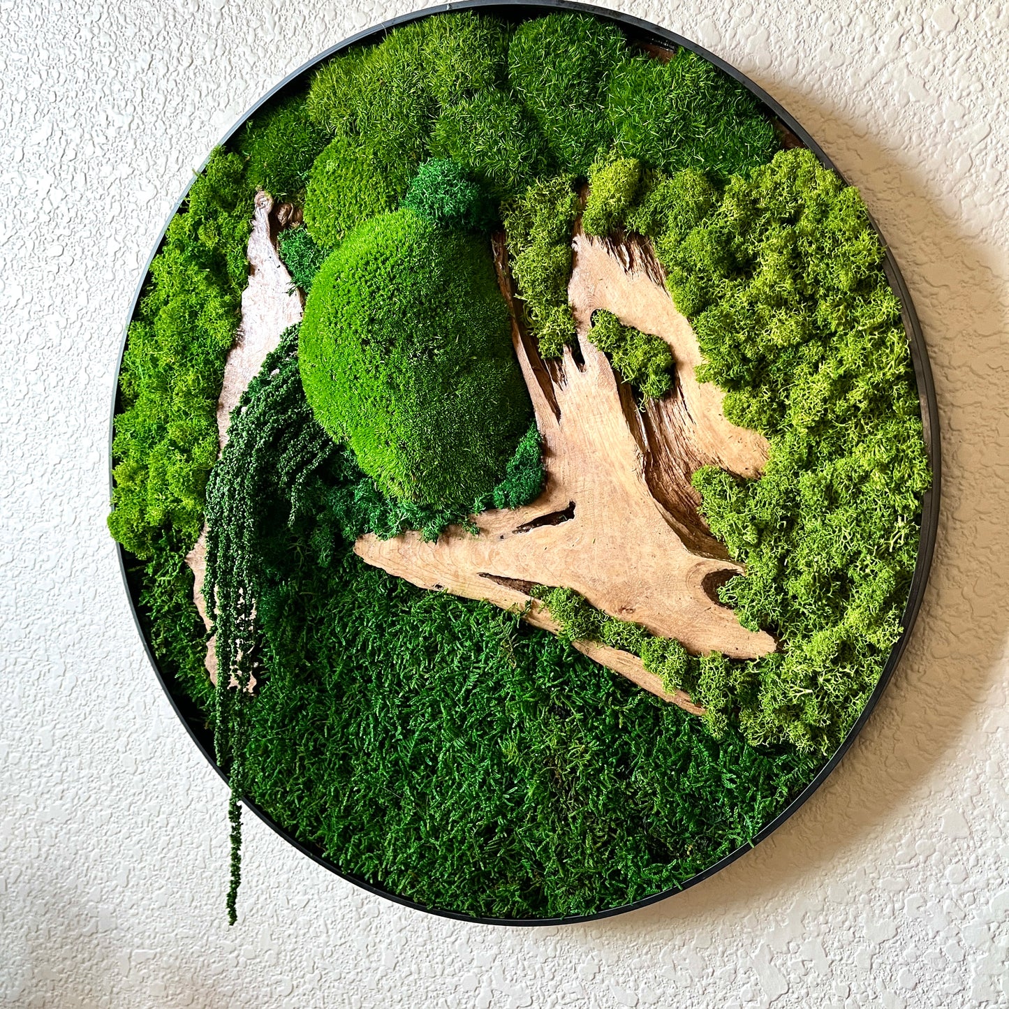 Preserved Moss Wall Art Round 12” or 20”