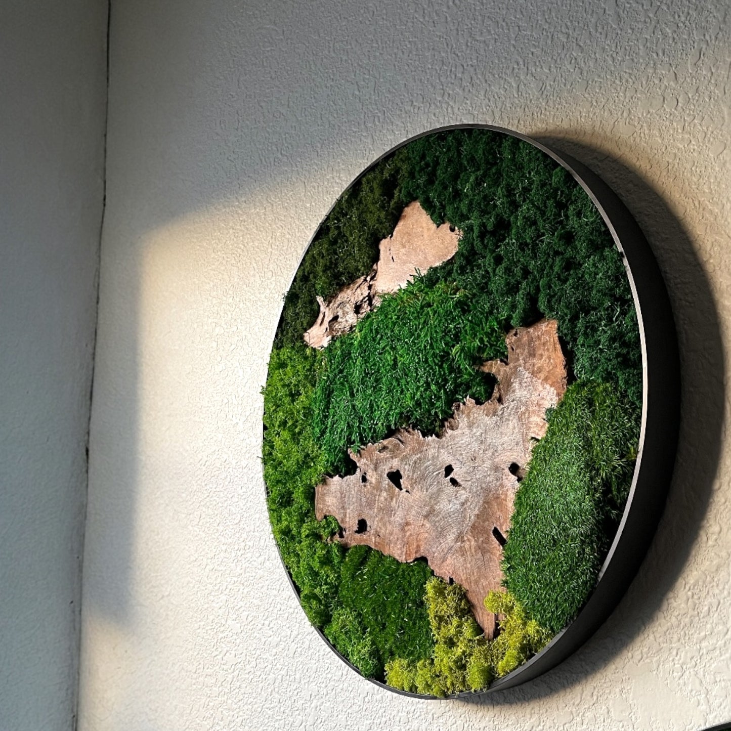 Preserved Moss Wall Art Round 12” or 20”