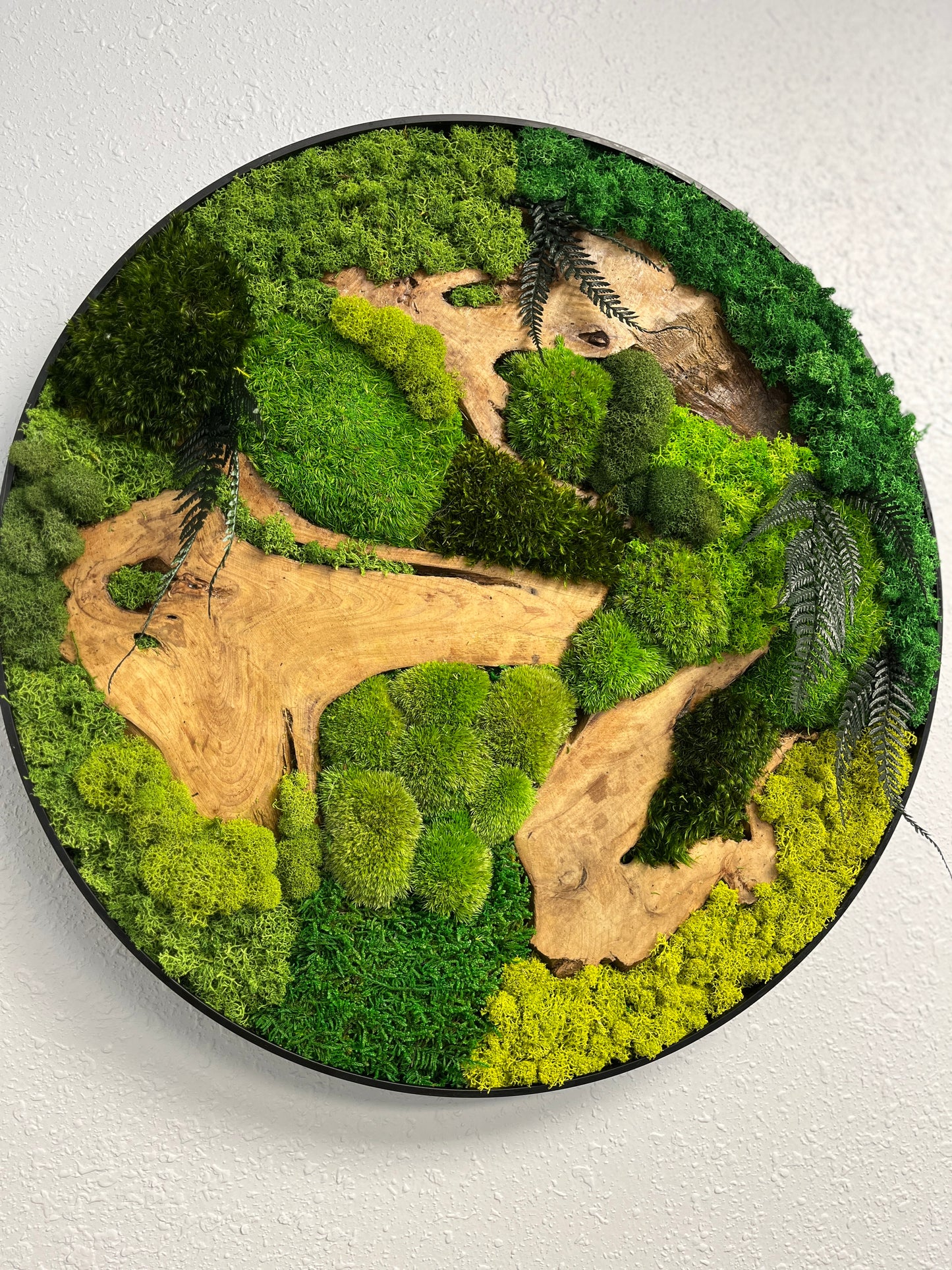 Preserved Moss Wall Art Round 12” or 20”