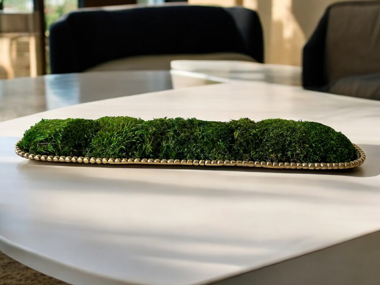 22" Gold Metal Preserved Moss Bowl