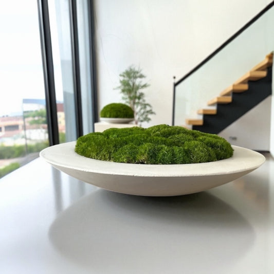 Handmade 15” Round Concrete bowl filled with preserved moss - In store pickup only