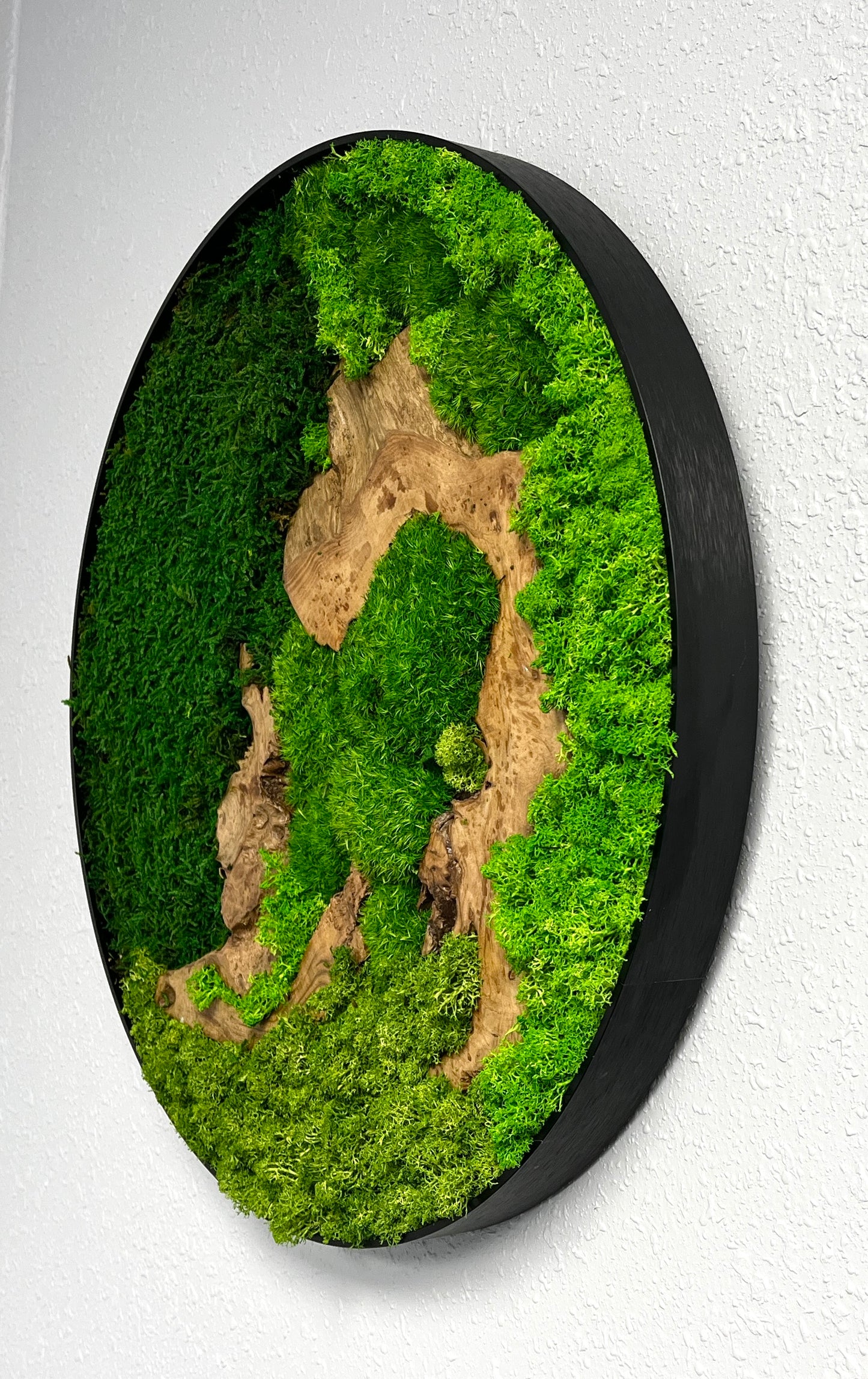 Preserved Moss Wall Art Round 12” or 20”