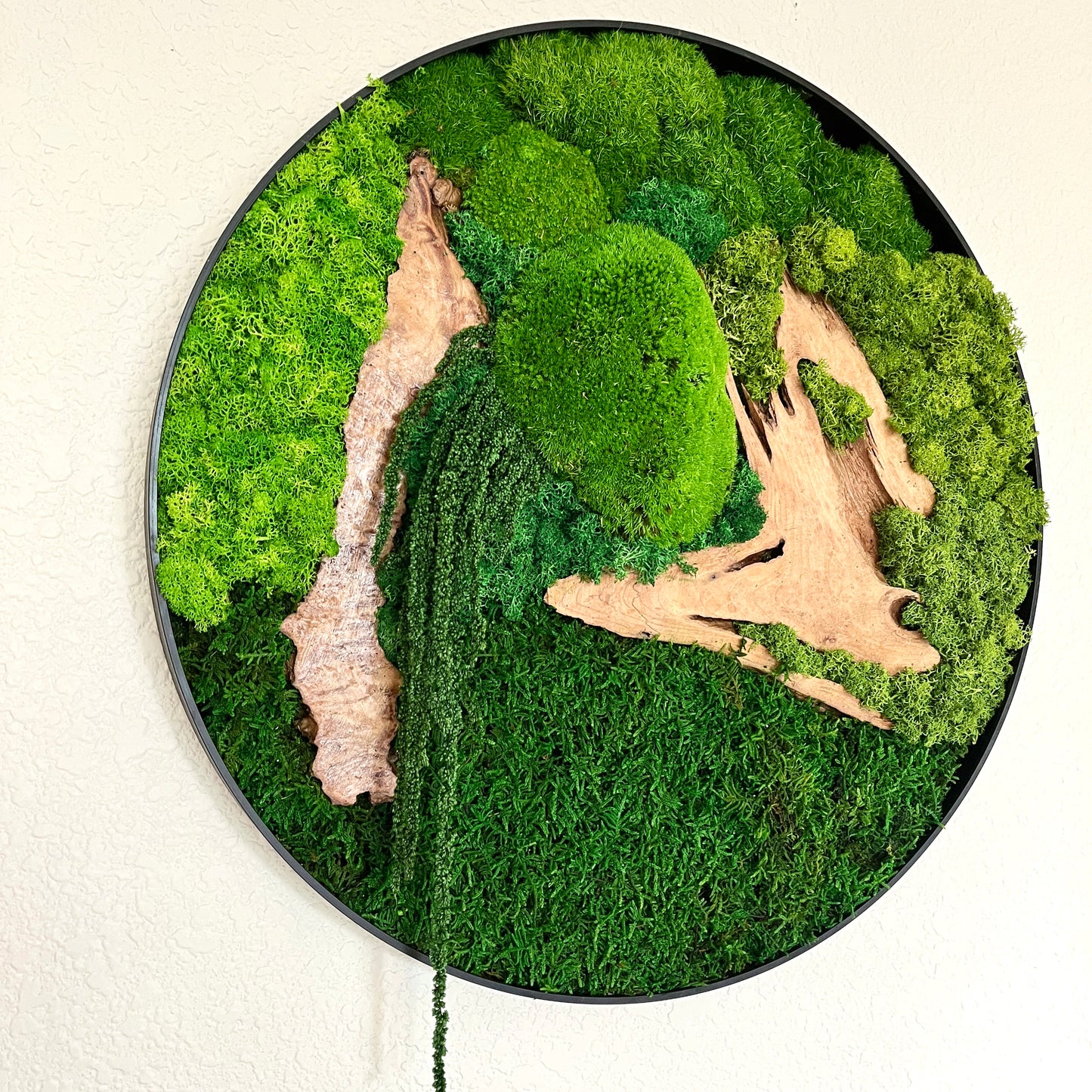 Preserved Moss Wall Art Round 12” or 20”
