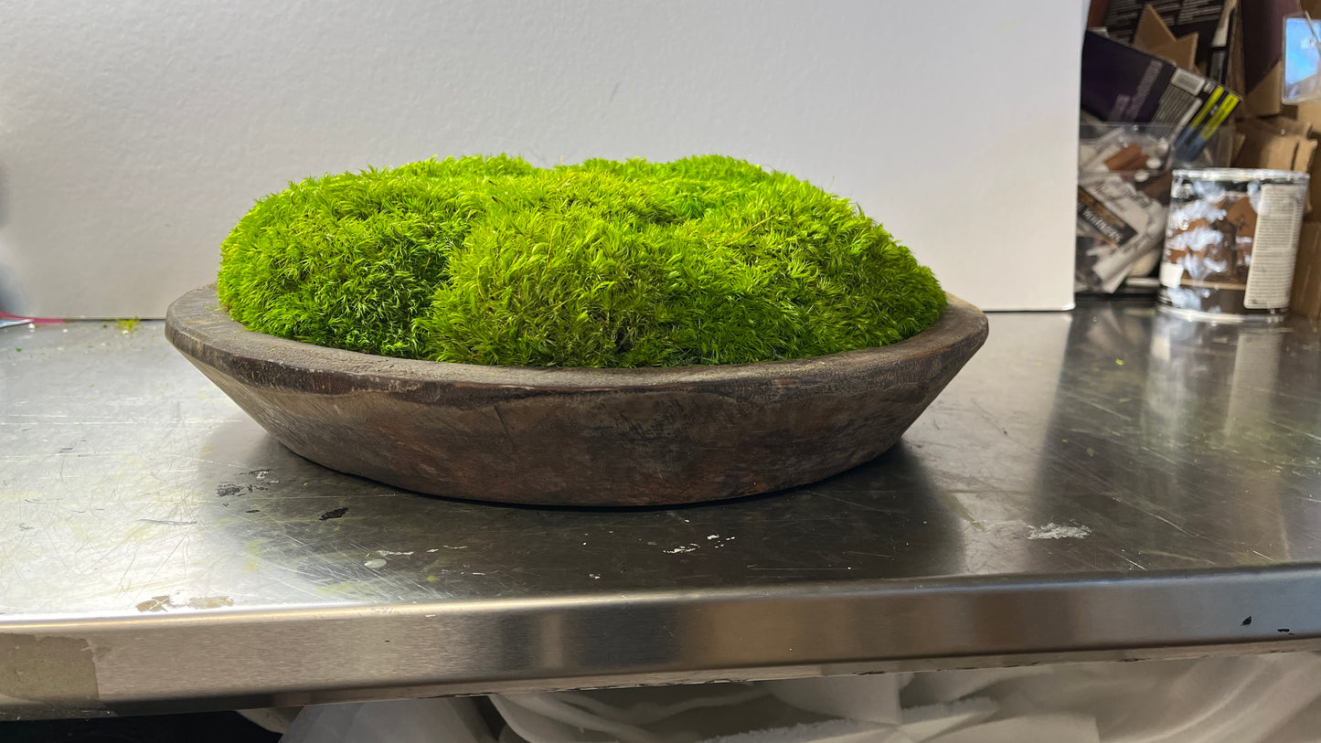 12" oder 16" runde rustikale Holzmoosschale