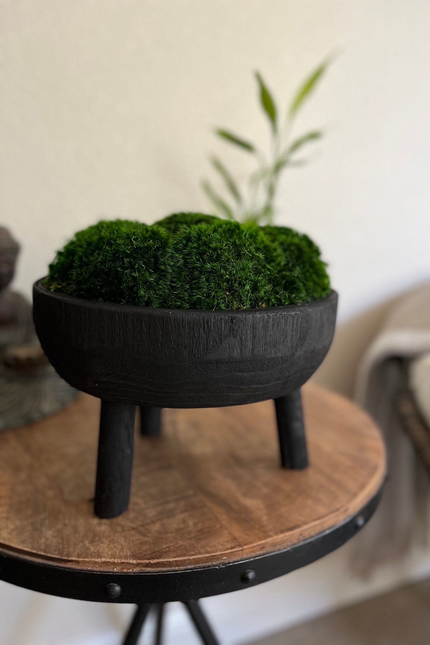 11x6" Tall Black Pedestal Moss Bowl w/ Legs