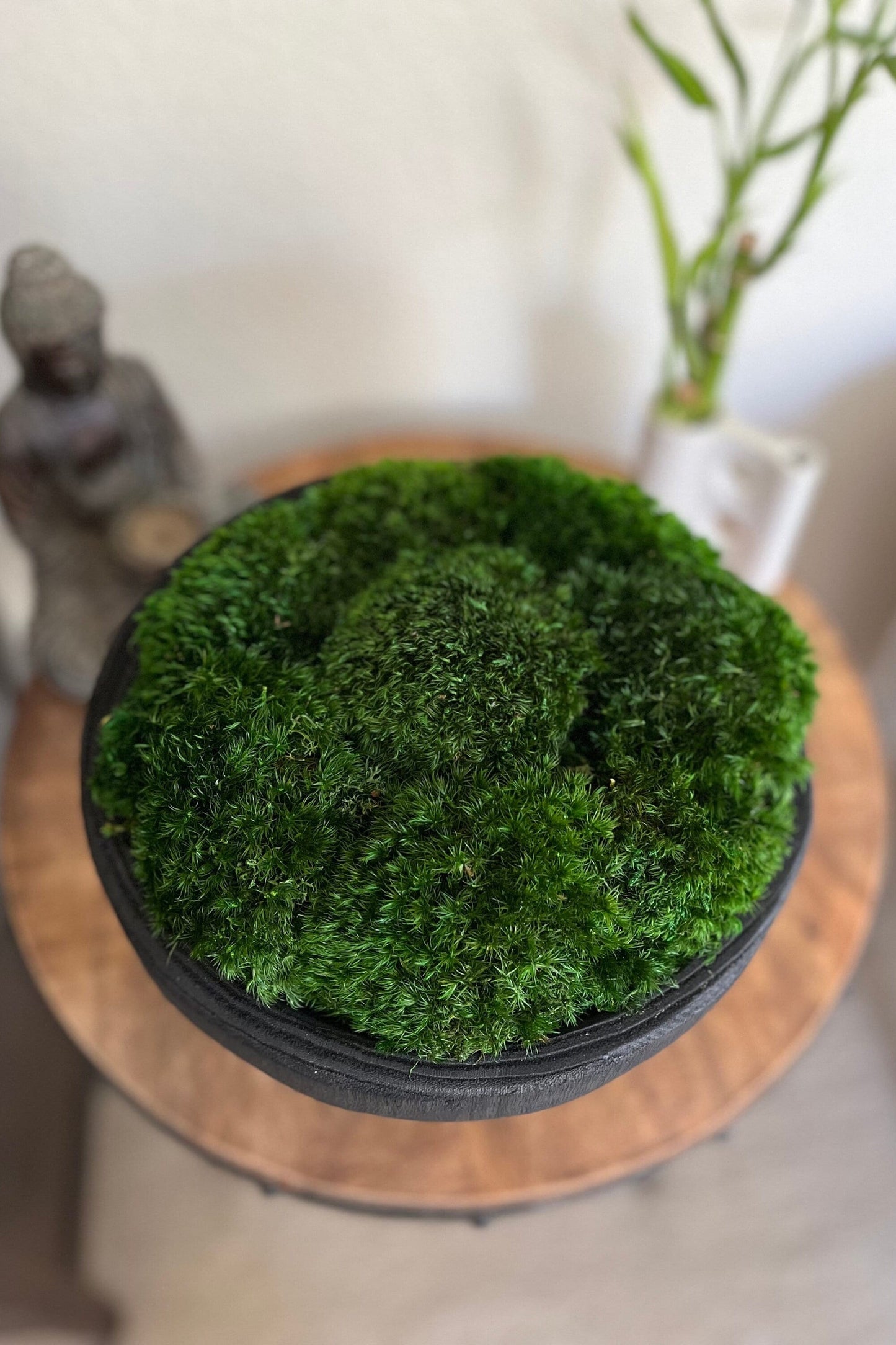 11x6" Tall Black Pedestal Moss Bowl w/ Legs