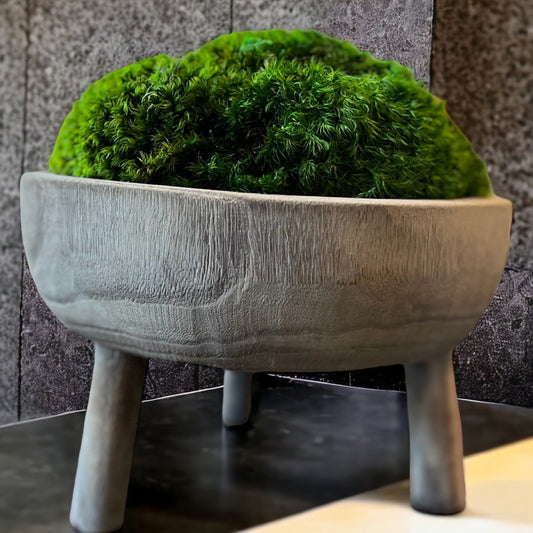 11x6" Tall Gray Pedestal Moss Bowl w/ Legs