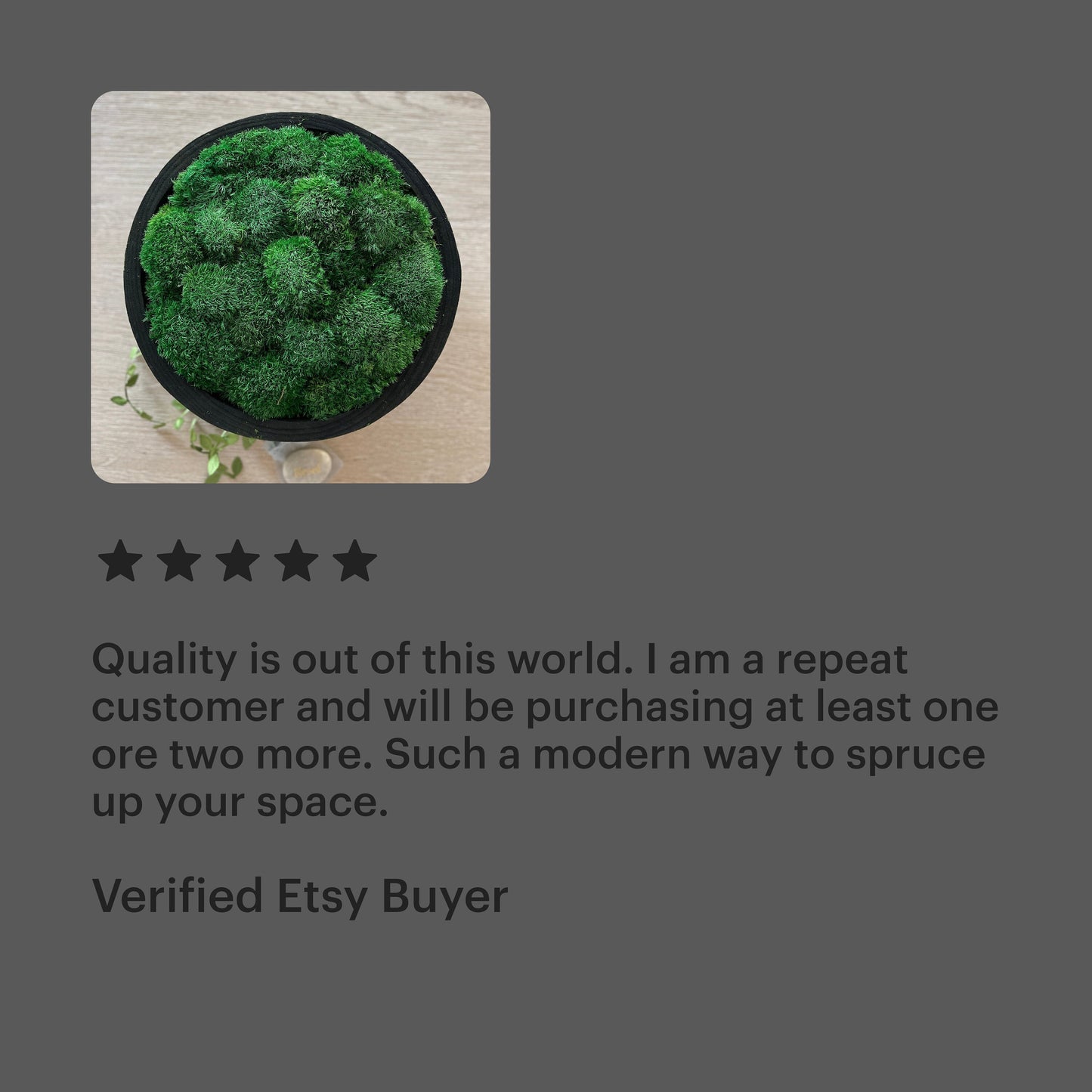 12" runde schwarze Moosschale mit Sockel