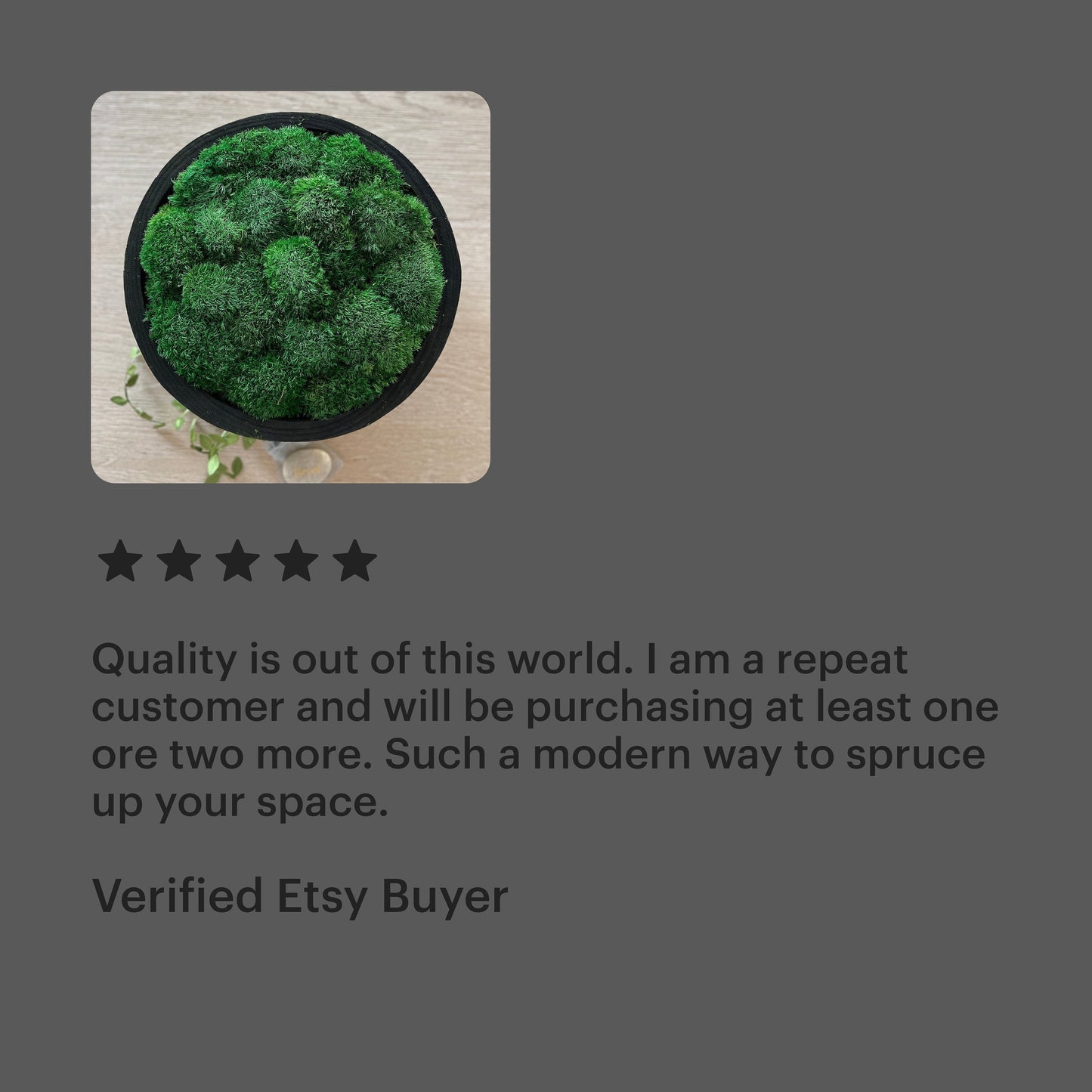 11x6" hohe graue Moosschale mit Beinen