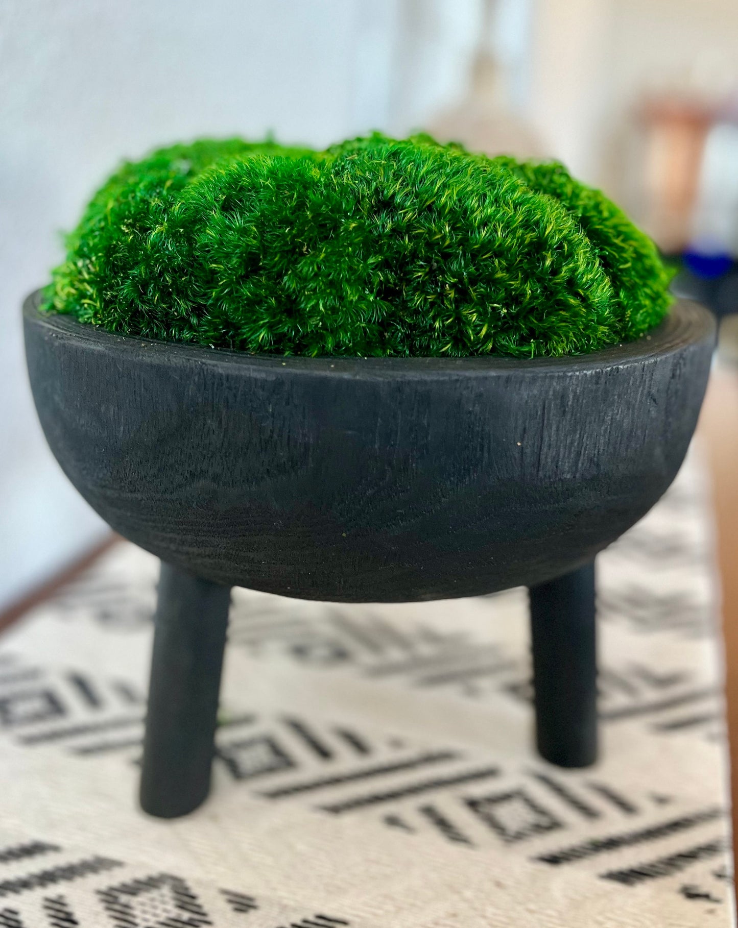 11x6" Tall Black Pedestal Moss Bowl w/ Legs
