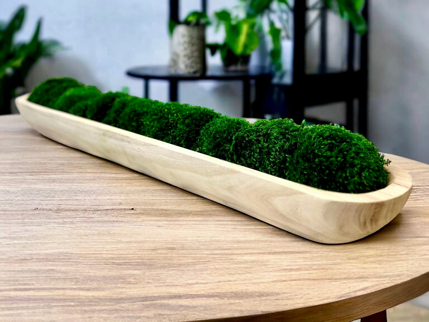 23" Preserved Moss Paulownia Wood Bowl