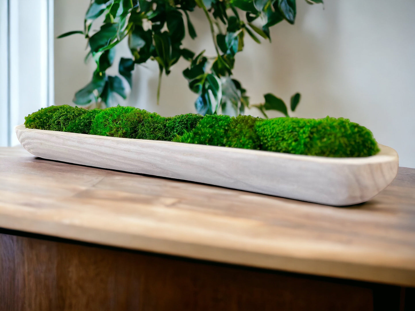 40" Preserved Moss Paulownia Wood Dough Bowl