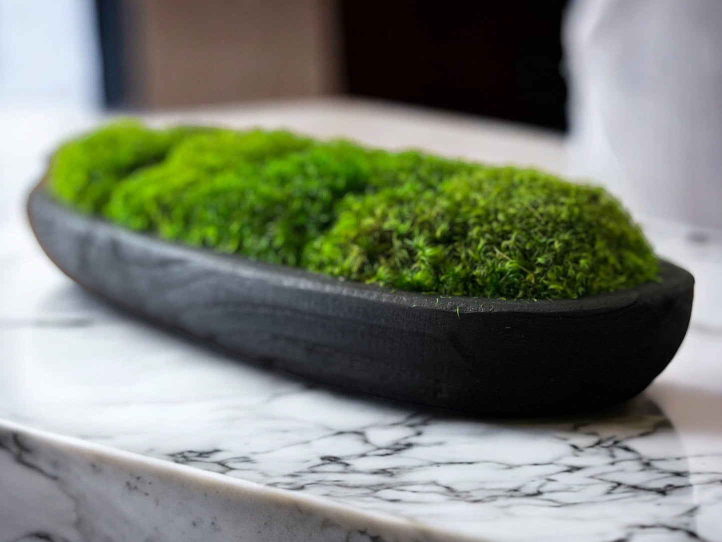 24" Preserved Moss Bowl Paulownia Wood