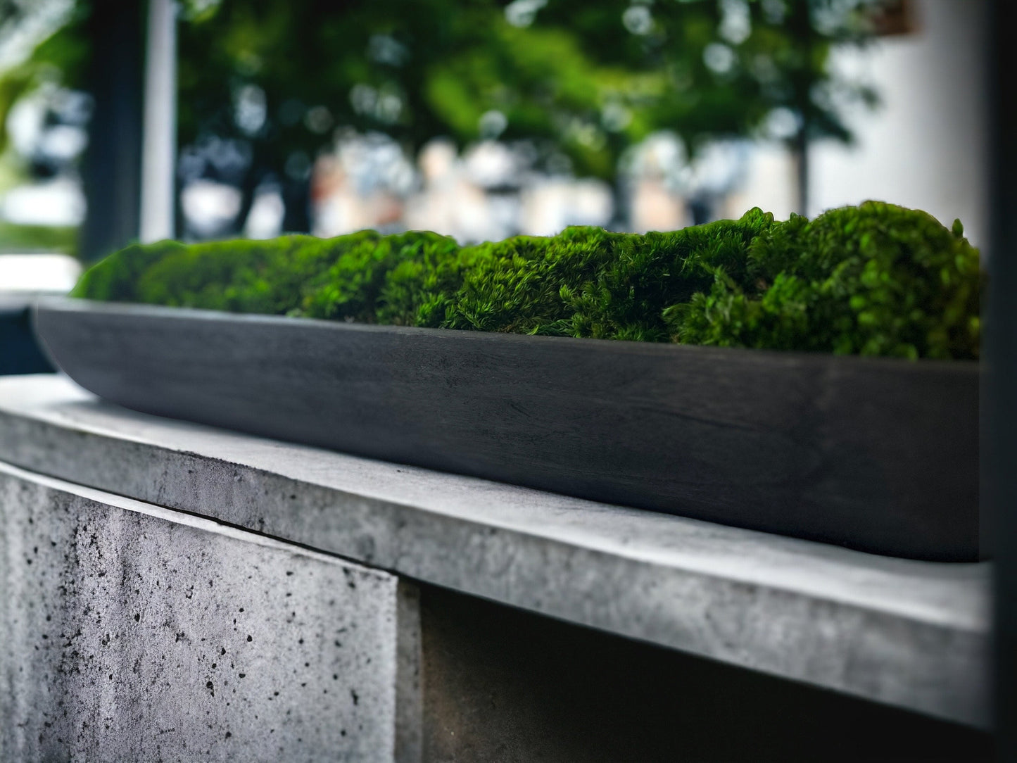 40" Preserved Moss Paulownia Wood Dough Bowl