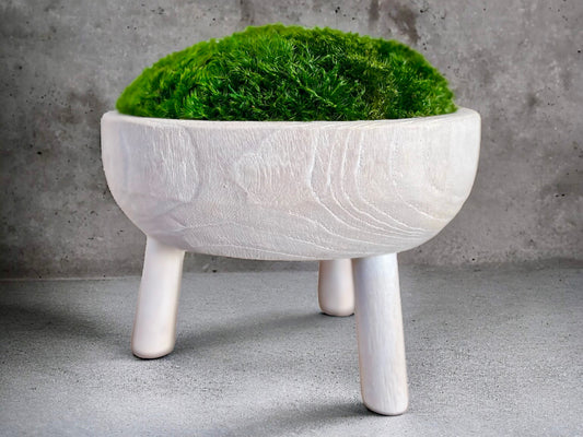 11x6" Tall White Pedestal Moss Bowl w/ Legs