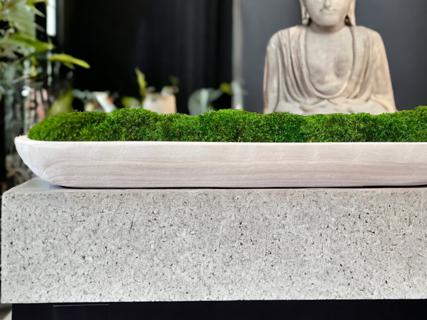 40" abgerundete Schale aus Paulownia-Holz