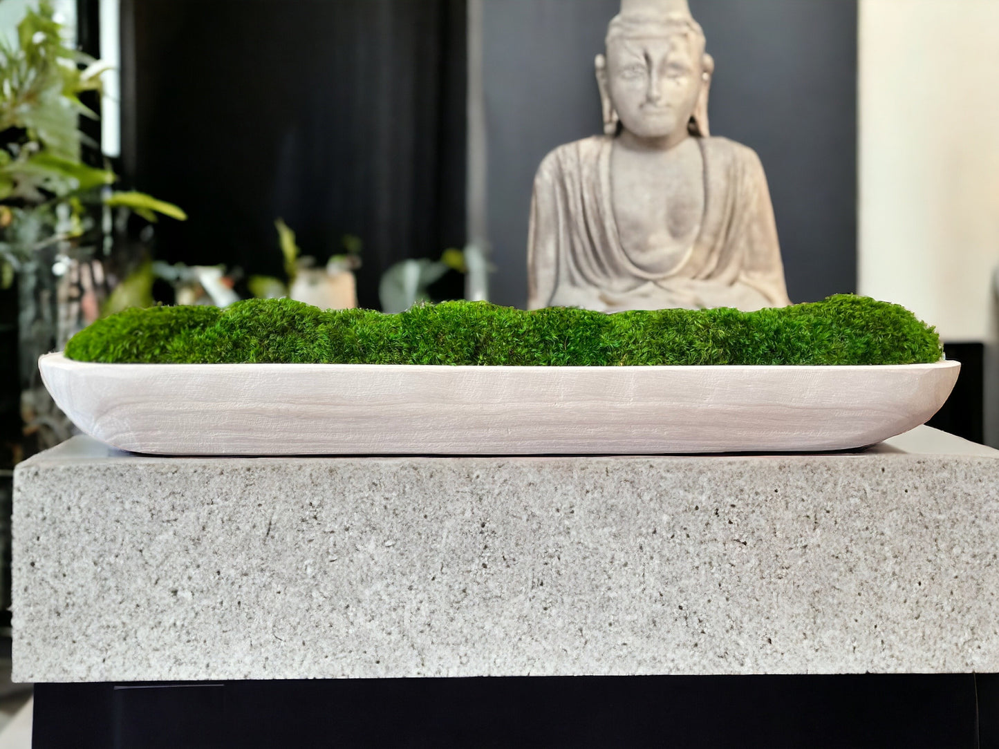 24" Preserved Moss Bowl Paulownia Wood