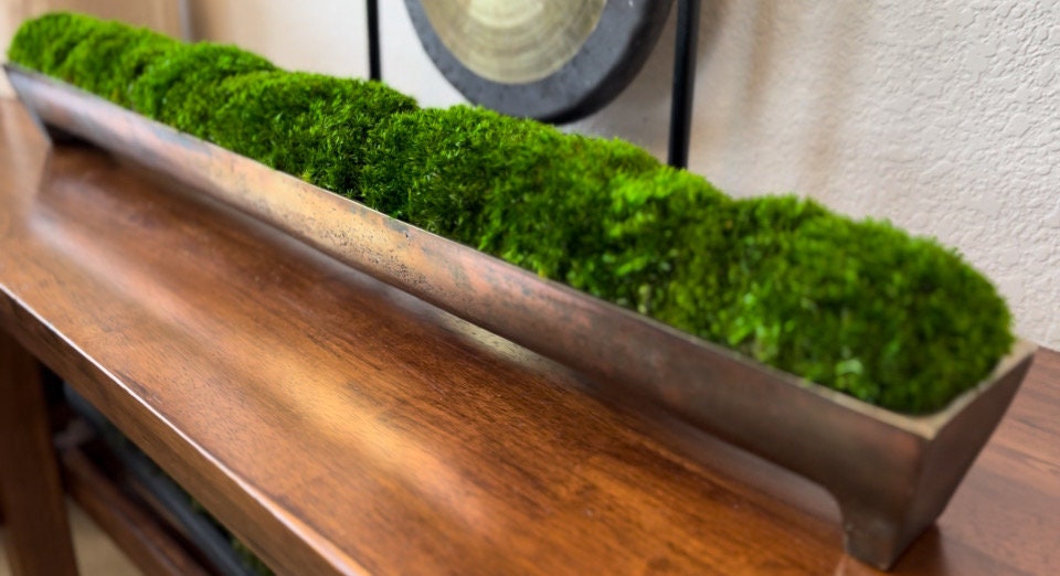 Bronzener Aluminium-Metall-Patina-Trog mit Moos