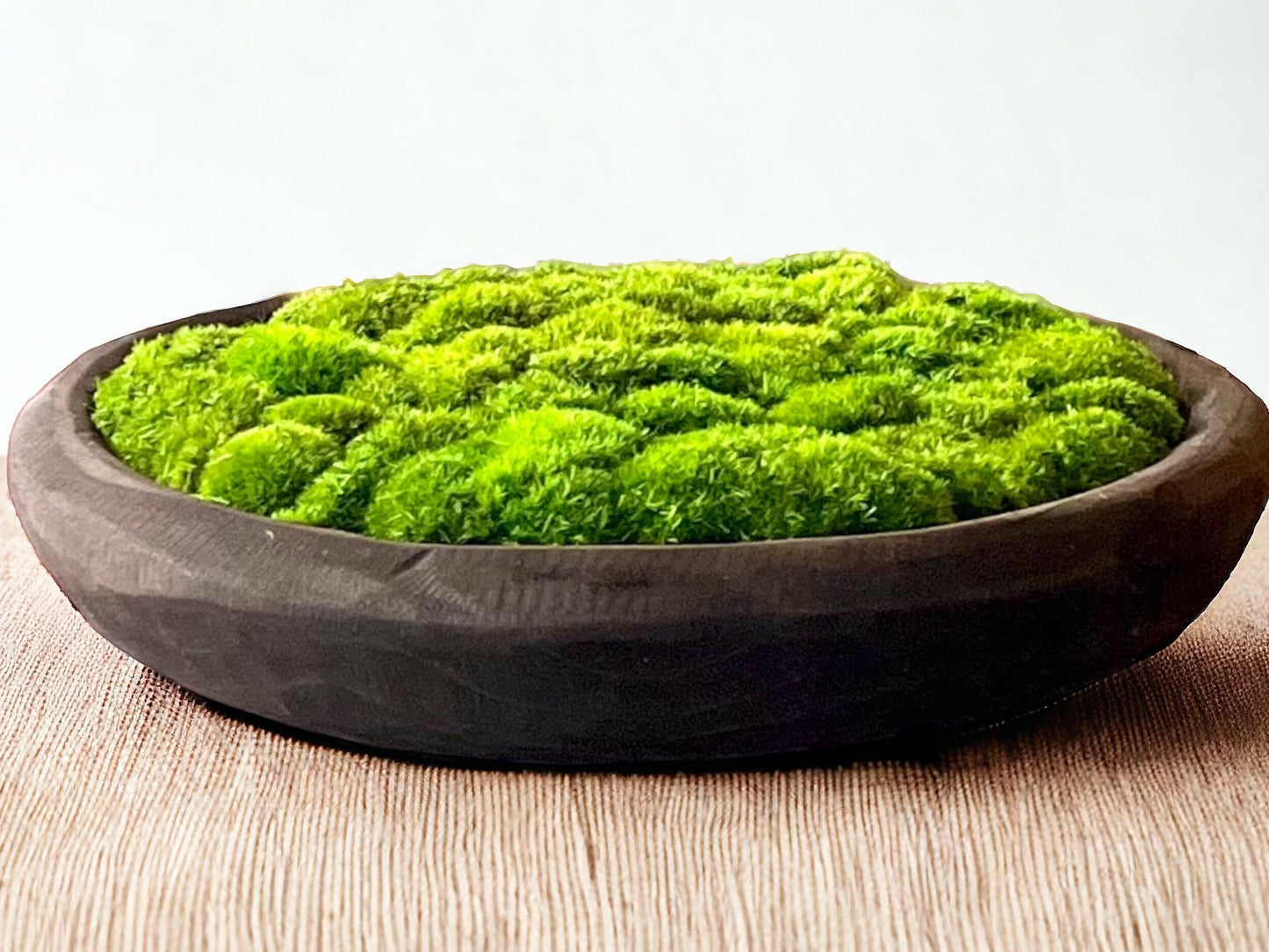 20" Round Paulownia Wood Bowl with Preserved moss