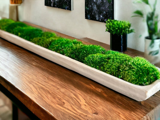 40" Extra Long Rectangle Paulownia Moss Bowl