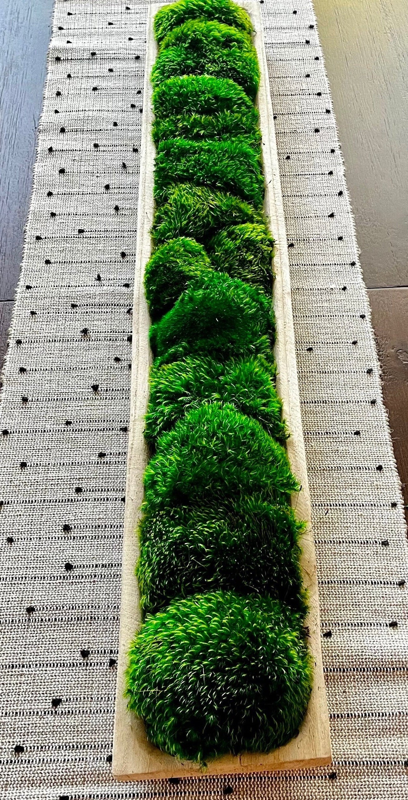 40" extra lange rechteckige Paulownia-Moosschale