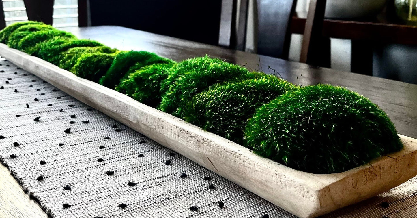 40" extra lange rechteckige Paulownia-Moosschale