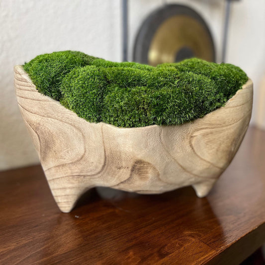 Unique Moss Paulownia Natural Wood Bowl