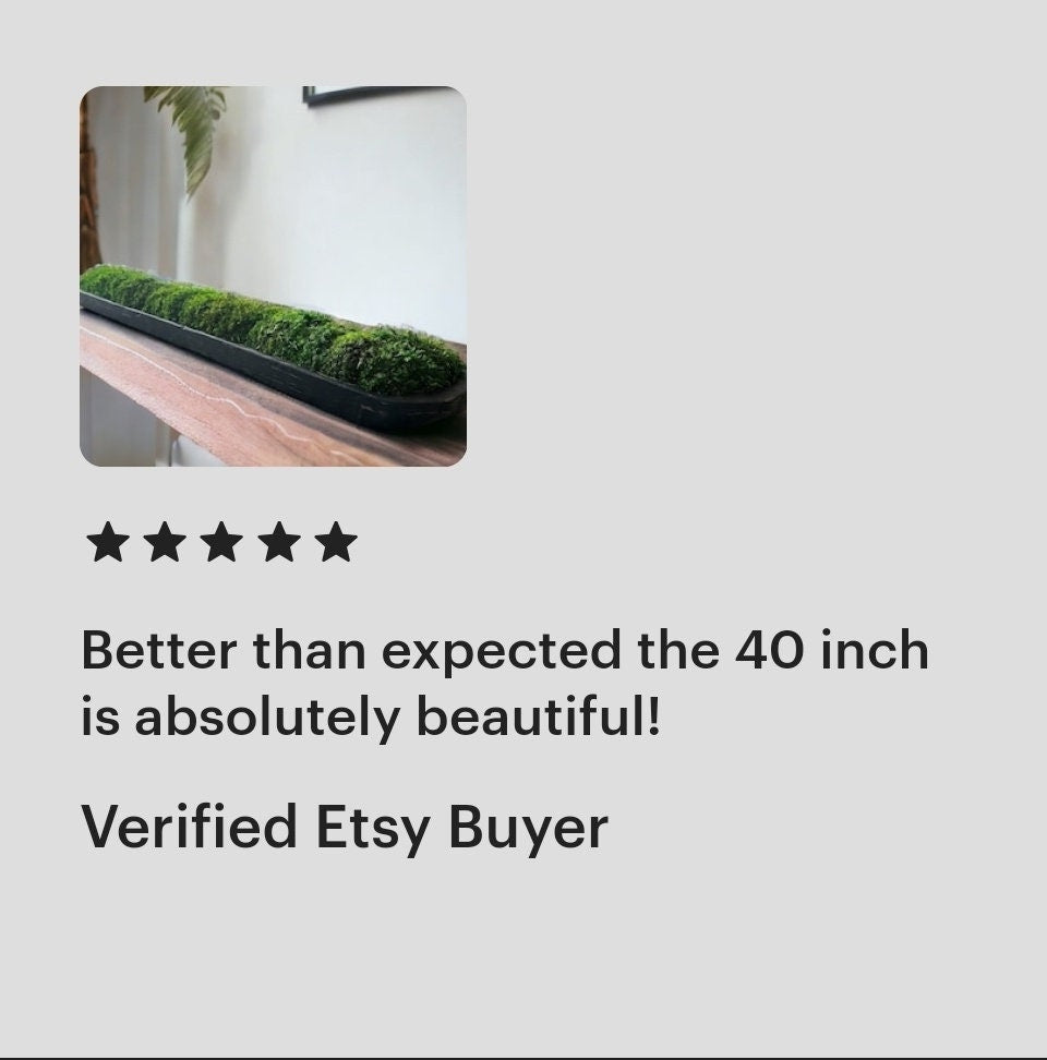 40" extra lange rechteckige Paulownia-Moosschale