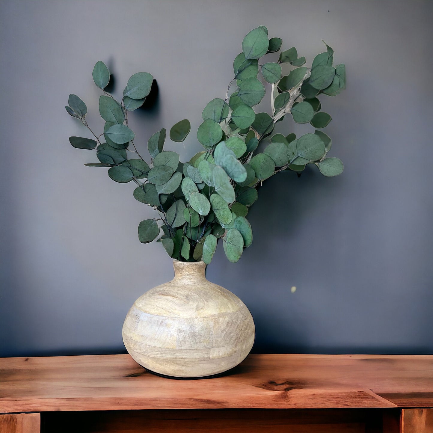 Preserved Dried Eucalyptus Leaves