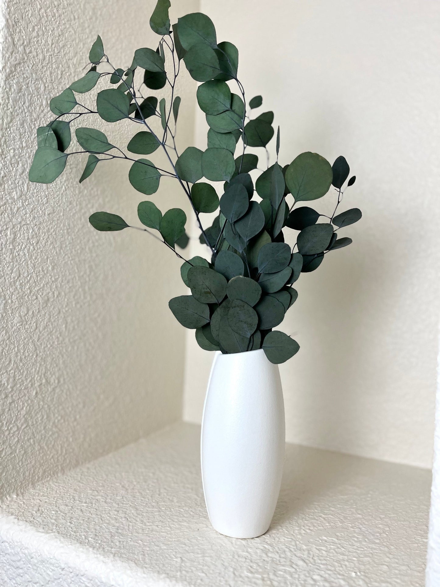 Preserved Dried Eucalyptus Leaves