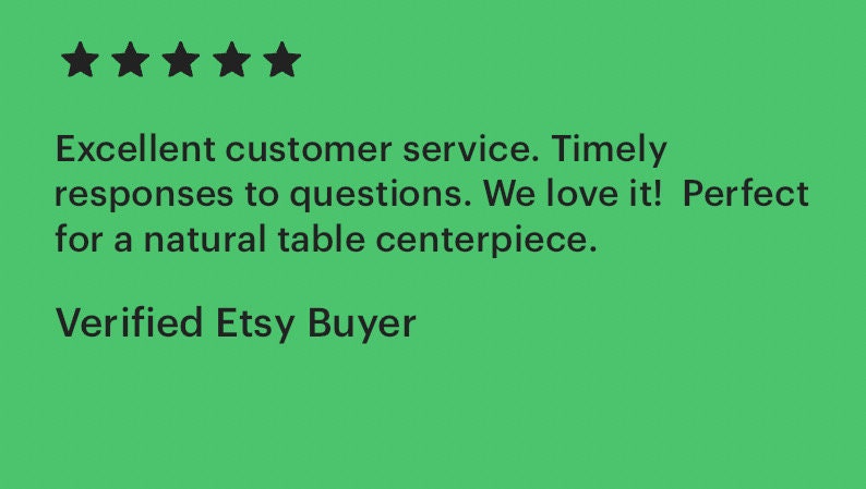 Preserved Dried Eucalyptus Leaves