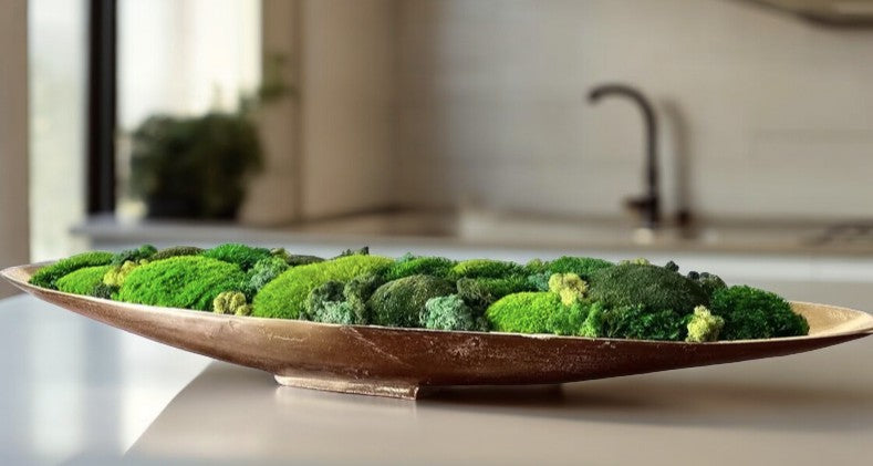52" Extra Long Metal Boat Bowl w/ Variated Preserved moss