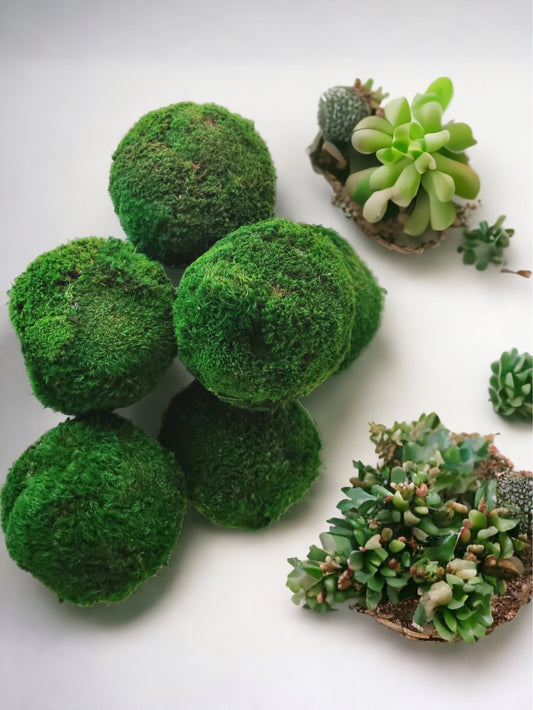 4" Decorative Preserved Moss Balls (Copy)