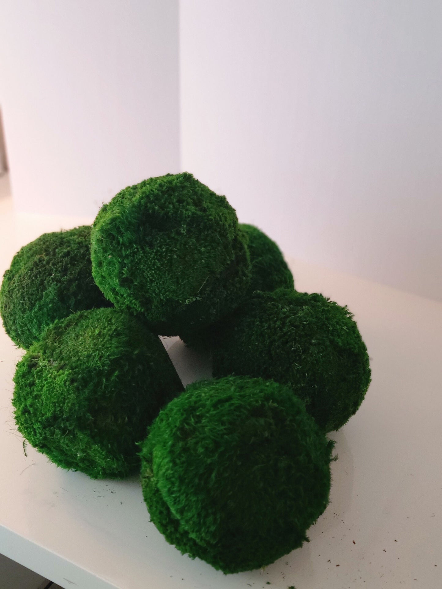 6" Decorative Preserved Moss Balls